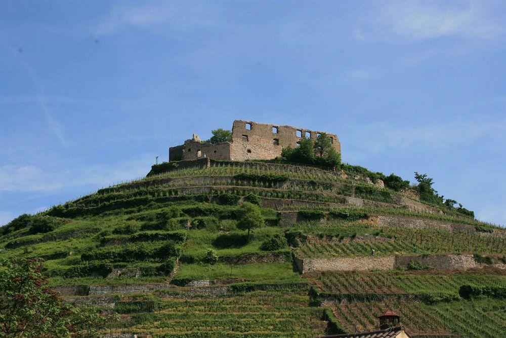 Gästehaus Goethe Staufen im Breisgau Exterior foto